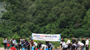 영양군, 토종 치어 31만 마리 방류…생태계 보전 및 어업 자원 증식 기대