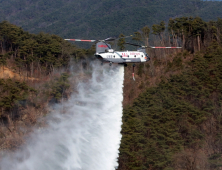 산림청, 산불대응 2차 추경 263억 확보