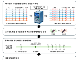 희귀병 ‘루푸스’ 발병 위험인자 발굴…“C4 유전자 결핍 연관”