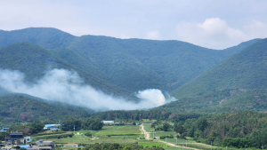 경주시 안강읍 야산 산불 46분 만에 진화…원인 조사 착수