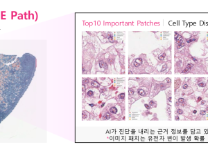 LG, 차세대 정밀 의료 AI ‘엑사원 패스 2.0’ 공개…“암 정복 나선다”