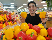 롯데마트, ‘제철 한상 기획전’ 外 우아한형제들‧신세계까사 [기업IN]