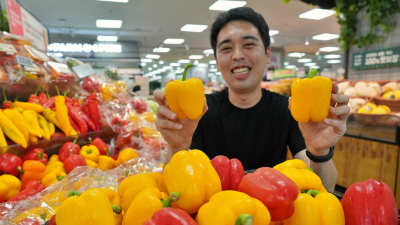 롯데마트, ‘제철 한상 기획전’ 外 우아한형제들‧신세계까사 [기업IN]