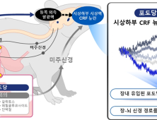 [쿠키과학] 