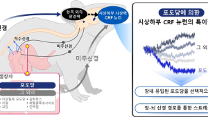 [쿠키과학] 