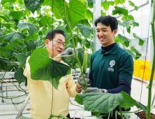영천시, 임대형 스마트팜 청년농 첫 오이 수확…농업 혁신 본격화
