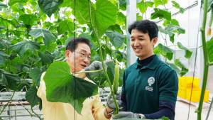 영천시, 임대형 스마트팜 청년농 첫 오이 수확…농업 혁신 본격화