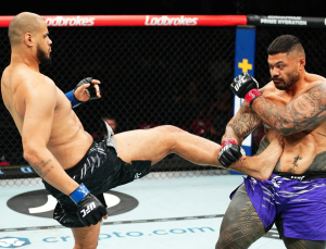 ‘2미터 거인’ 테세이라, 헤비급 9위 루이스에게 도전 [UFC]