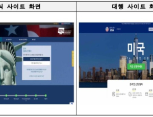 전자여행허가 대행 사이트 피해 주의…수수료 최대 18배 청구하기도