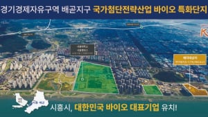 시흥배곧서울대병원 내달 착공...2029년 준공 목표