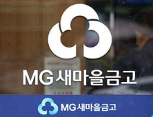 행안부, 새마을금고 정조준…내부고발 포상금 ‘최대 5억’