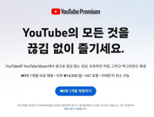 유튜브 프리미엄 라이트 국내 출시…공정위·구글 30일 의견수렴 착수