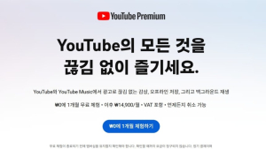유튜브 프리미엄 라이트 국내 출시…공정위·구글 30일 의견수렴 착수