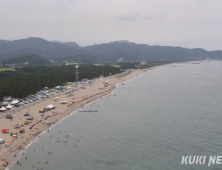 삼척 이사부수영대회 대책 없는 전면 취소에 참가자들 '분통'