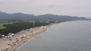 삼척 이사부수영대회 대책 없는 전면 취소에 참가자들 '분통'