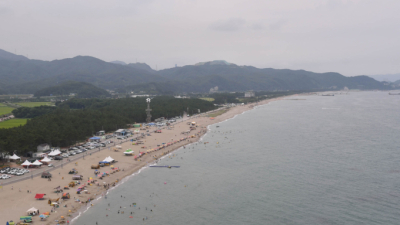 삼척 이사부수영대회 대책 없는 전면 취소에 참가자들 '분통'