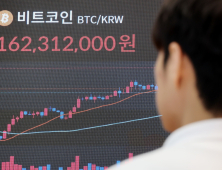 비트코인 ‘급등’에도 국내는 주춤…“하반기 법인 참여로 해소될 것”