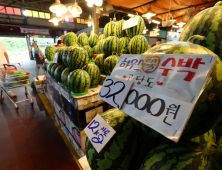 수박 평균 가격 3만원 넘겨…지난해 대비 40.9%↑