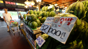 수박 평균 가격 3만원 넘겨…지난해 대비 40.9%↑