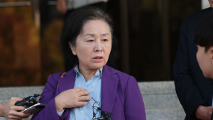 김영선 전 의원, 특검 소환 임박…일정 조율 중