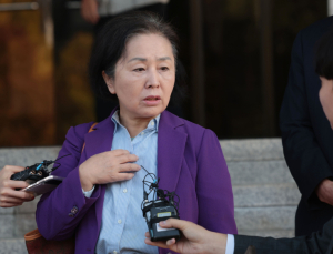 김영선 전 의원, 특검 소환 임박…일정 조율 중