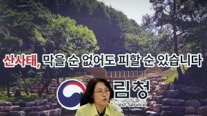 이미라 산림청 차장, 호우 산사태 대응상황 점검 [쿠키포토]