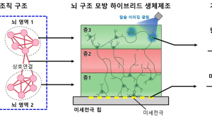 [쿠키과학] 
