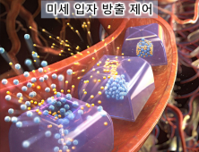 [쿠키과학] 
