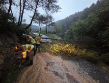 원주 160㎜ 물폭탄…도내 나무전도 등 피해 잇따라