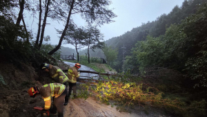 원주 160㎜ 물폭탄…도내 나무전도 등 피해 잇따라