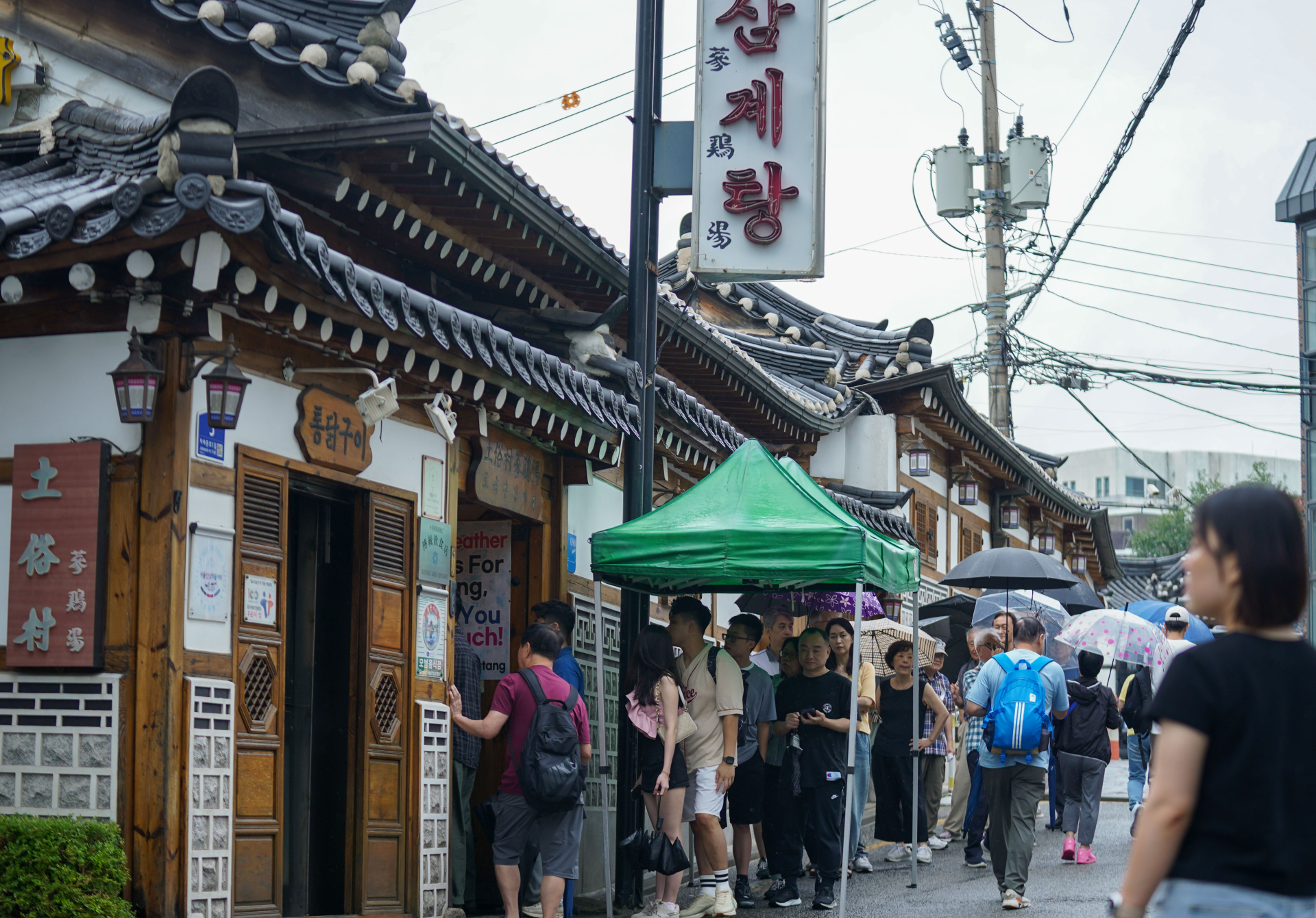 초복 앞두고 삼계탕 직접 만든다…집밥 비용은 9천원‚ 외식은 두 배
