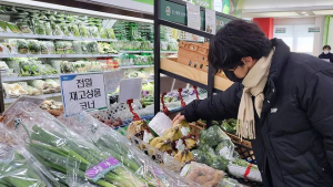 “김치 먹기 겁나네” 생산자물가 반등…배추값 31% ‘껑충’