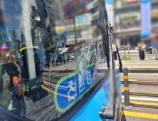 부산서 횡단보도 건너던 60대 여성 시내버스에 치여 숨져