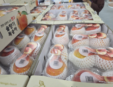 영주 복숭아, 동남아 시장 정조준…글로벌 과일로 거듭난다