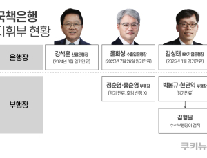 李정부 조직개편 ‘안갯속’…국책은행 지휘부 줄공백