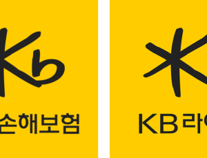 KB금융 보험 계열사 희비...투자손익은 '효자'