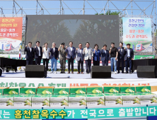 홍천찰옥수수축제 25일 개막…