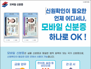 “저 성인 맞는데요”…서울시, ‘억울한 행정처분’ 막으려 신분증 확인 권고