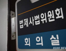 ‘더 센’ 상법개정안 與주도 법사소위 통과…집중투표·감사위원 분리선출