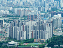 대출 규제 강해지자…오피스텔도 수요 줄었다