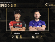 ‘팀 K리그’ 포항 어정원, 안양 토마스 대체 선발