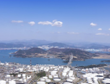 LG화학이 쏘아 올린 ‘전력 직구’ 신호탄…탈한전 도미노 되나