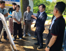 경북도, APEC 정상회의장 주변 가로수 현장점검 실시