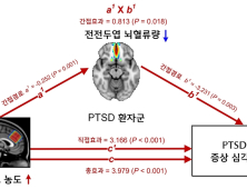 [쿠키과학] '시간 지나도 사라지지 않는 PTSD'… 근본적 치료법 찾았다