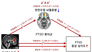 [쿠키과학] '시간 지나도 사라지지 않는 PTSD'… 근본적 치료법 찾았다