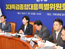 “제도개선·기간연장 대응”…與, ‘3대특검 특위’ 통해 지원 총력