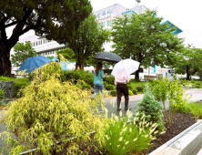 “도심 속에 설치한 ‘작은 정원’이 극한 호우 피해 막았다”
