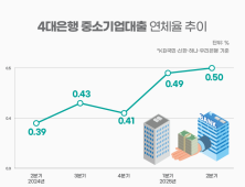 중기대출 연체율 고공행진...은행권, 상생·건전성 다 잡을까