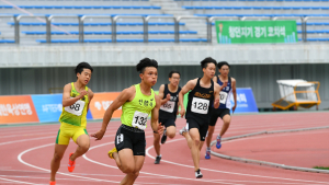 정선, 1200m 운탄고도에 국가대표 전지 훈련장 조성