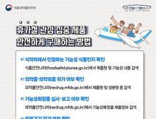 식약처, 휴가철 온라인 식의약품 불법·부당광고 719건 적발